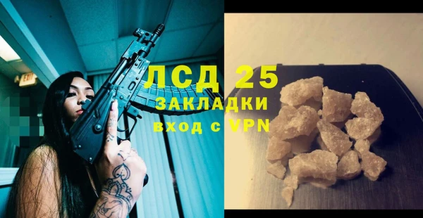 PSILOCYBIN Абаза