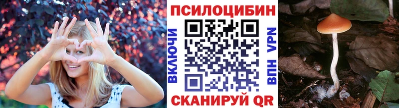 Псилоцибиновые грибы прущие грибы  Новомичуринск 